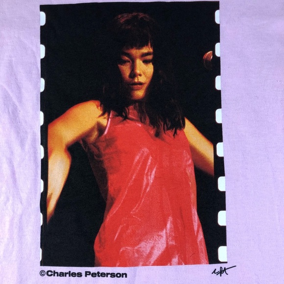 Pleasures Now Bjork Charles Peterson Music L/S Tee - Picture 2 of 6